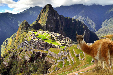 Machu Picchu-tur + Huayna Picchu-berget