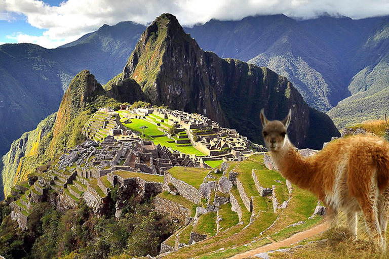 Wycieczka Machu Picchu + góra Huayna Picchu