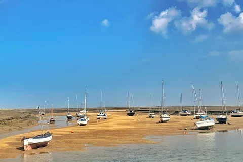 De Cambridge: Viagem guiada de 1 dia à Costa Norte de Norfolk