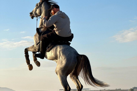 Doha : Private Horse Ride Experience With Pickup &amp; Drop Off