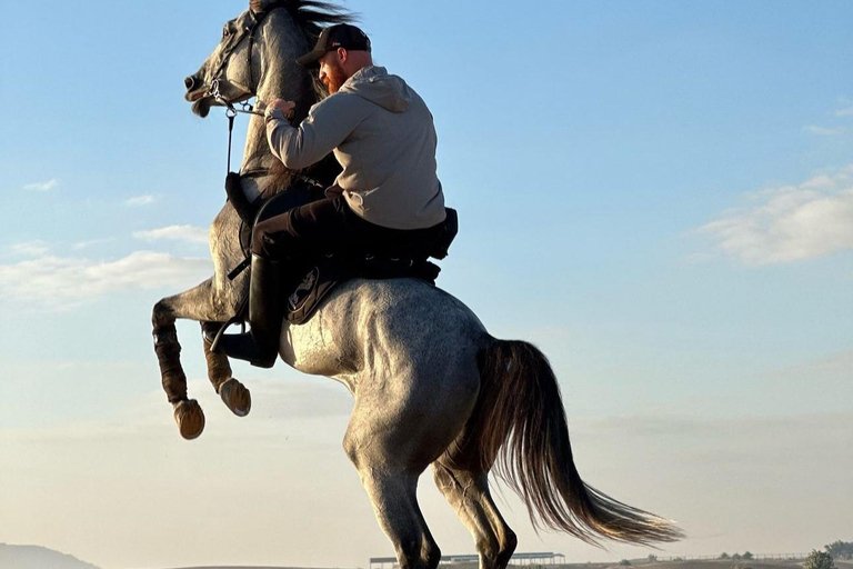 Doha : Private Horse Ride Experience With Pickup &amp; Drop Off