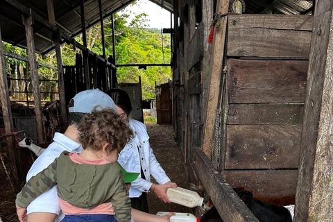 Horseback Ride + Contact Farm in Boquete 2 hours