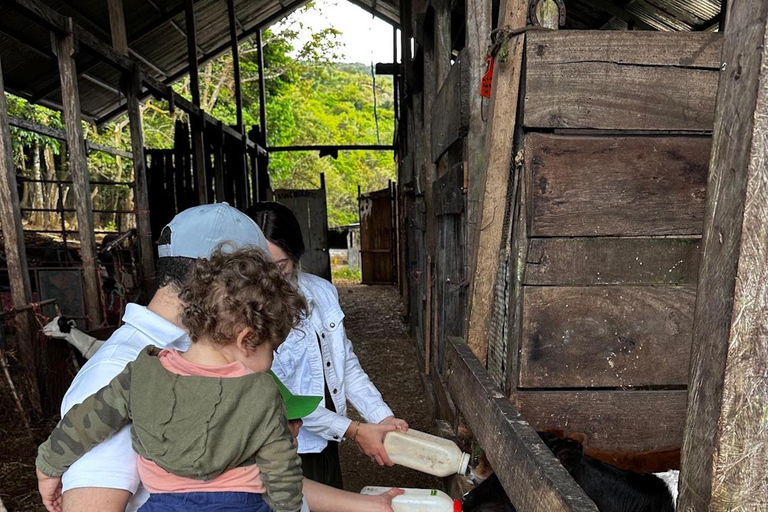 Horseback Ride + Contact Farm in Boquete 2 hours