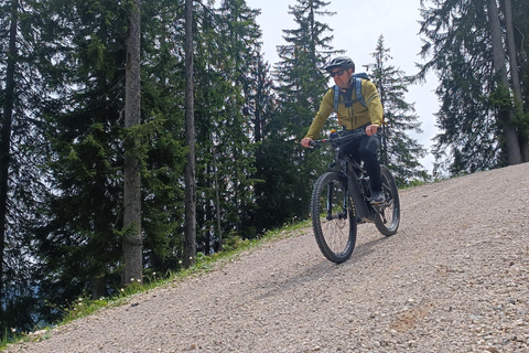 Salzkammergut: Geführte E-Bike Tour auf die Almen in Gosau und Hallstatt