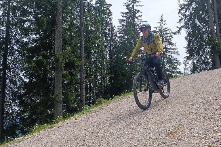 Salzkammergut: Guided e-bike tour to the alpine pastures in Gosau and Hallstatt