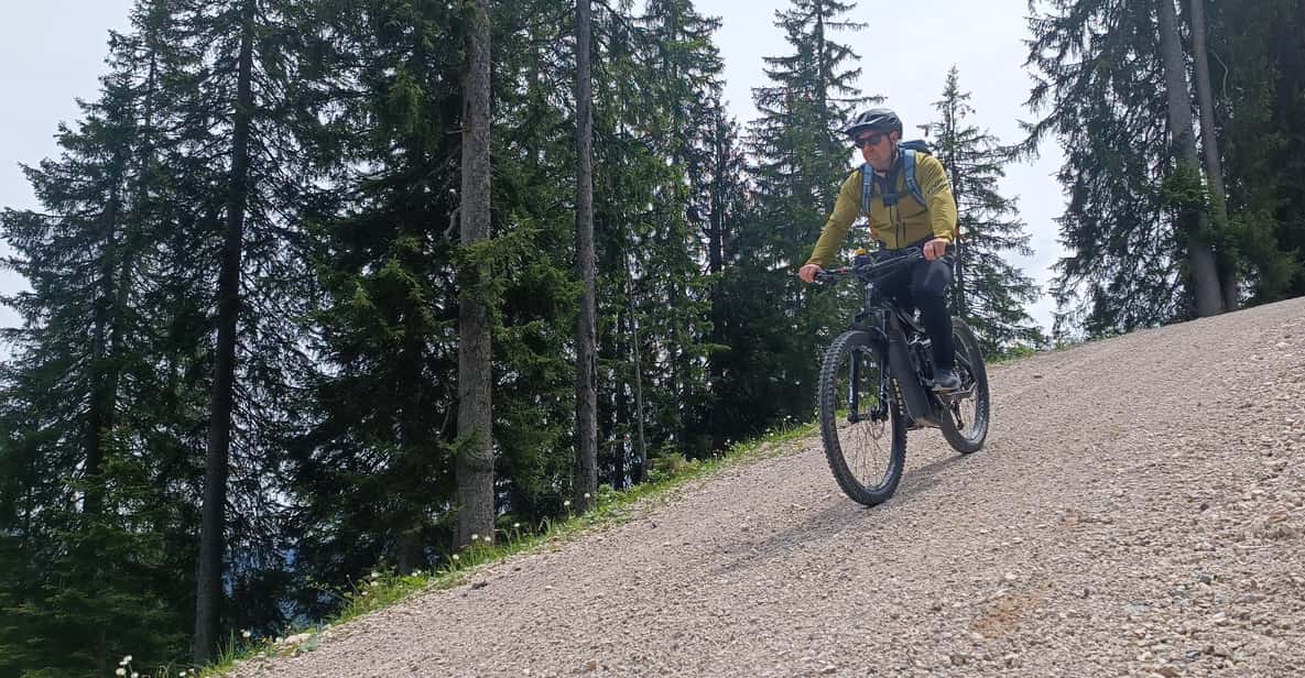 Afbeelding 3 van Salzkammergut: begeleide e-biketocht naar de alpenweiden in Gosau en Hallstatt