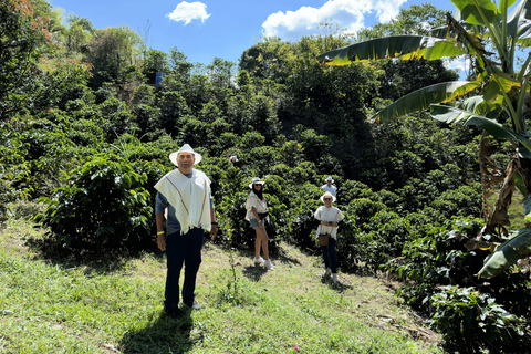 From Medellín: Coffee Tour and Zip Line in the Mountains