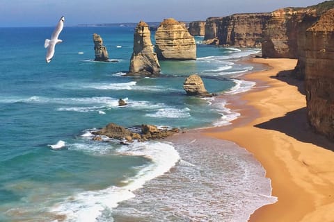 Full Day Great Ocean Road Private Guided Tour - Image 2