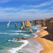 Full Day Great Ocean Road Private Guided Tour