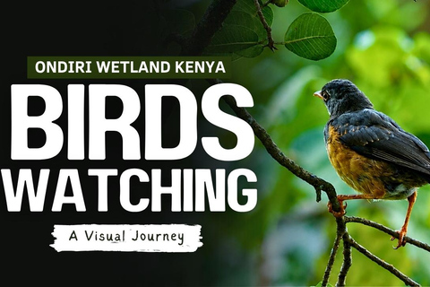 From Nairobi: Ondiri Wetland Guided Walking Tour