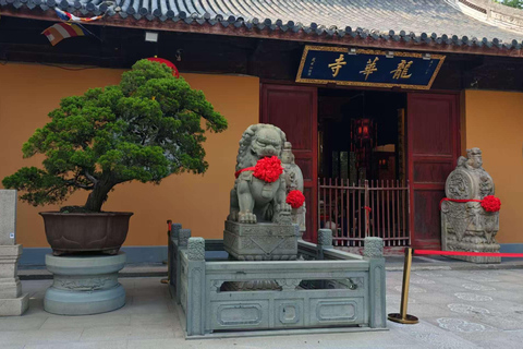 Shanghai: tour privato personalizzabile di 4 ore dei luoghi più importantiShanghai: tour di 4 ore con guida privata e macchina privata