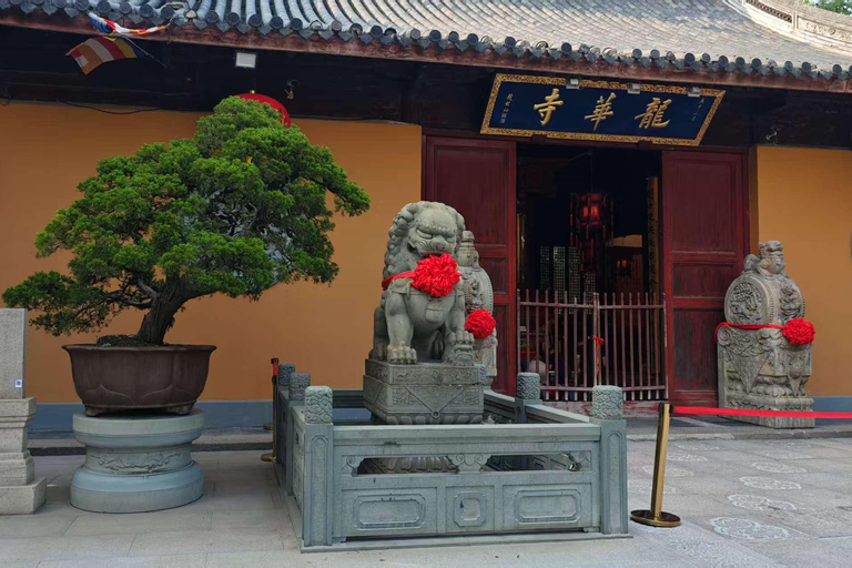 Shanghai: tour privato personalizzabile di 4 ore dei luoghi più importantiShanghai: tour di 4 ore con guida privata e macchina privata