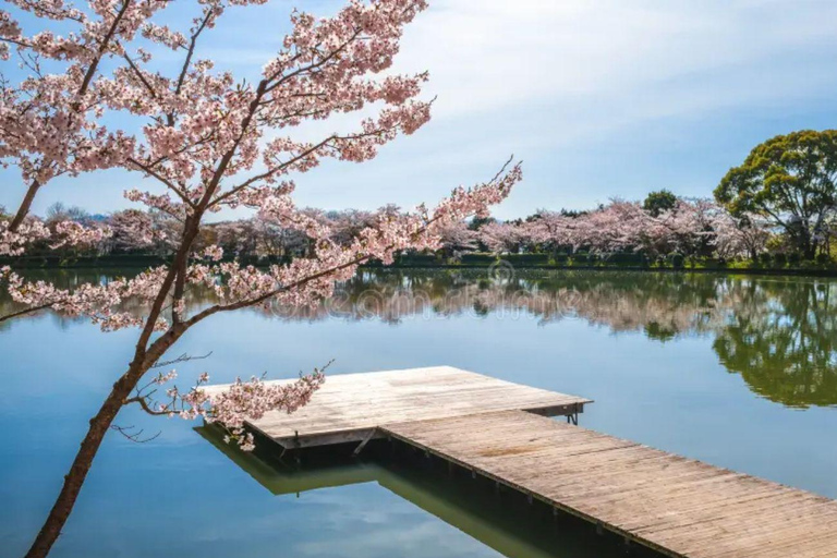 From Osaka/Kyoto: Kyoto Nara Day Trip Highlights