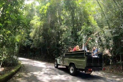 Rio: Jeep-Tour zum Botanischen Garten und Tijuca-WaldJeep Tour Botanischer Garten & Tijuca Wald