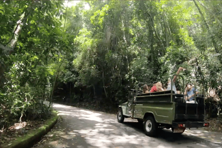 Rio: Wycieczka jeepem do ogrodu botanicznego i lasu TijucaWycieczka jeepem Ogród botaniczny i las Tijuca