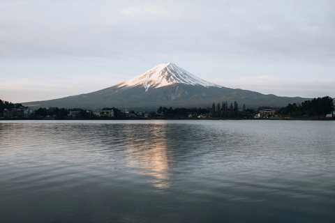 From Tokyo: Mount Fuji Full Day Customizable Private Tour