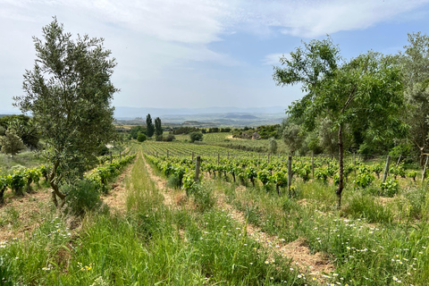 Rioja Weinkellereien VIP Tour