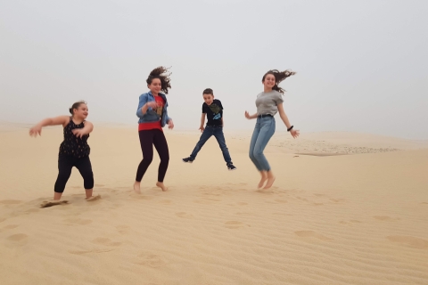 Qatar: Experimenta un safari de medio día por el desierto con traslado de ida y vuelta