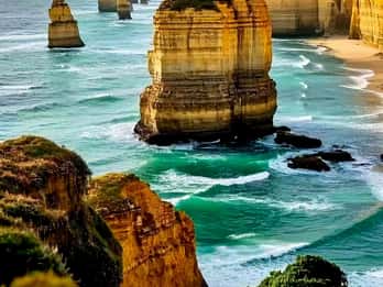 From Melbourne: Great Ocean Road & 12 Apostles Wild Day Tour