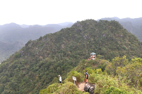 Half Day Hiking to Cat Ba National Park with a Guide
