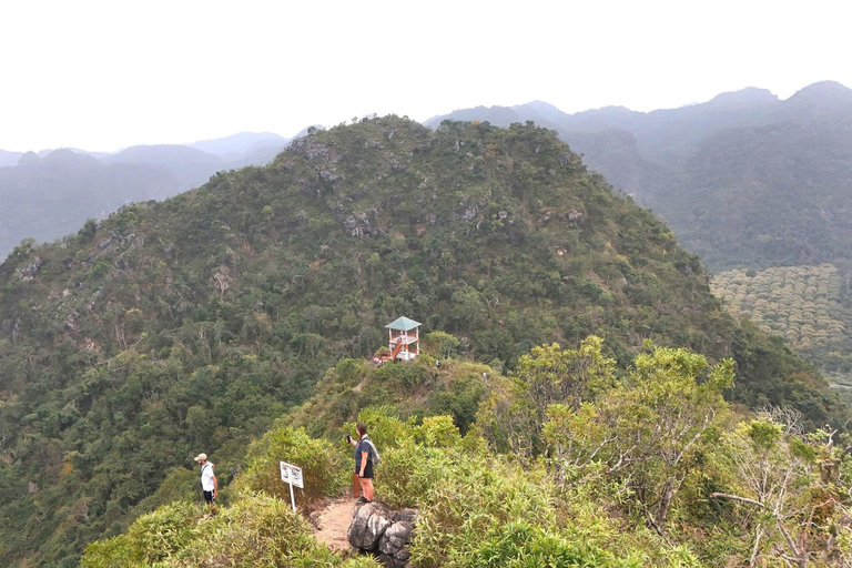 Half Day Hiking to Cat Ba National Park with a Guide