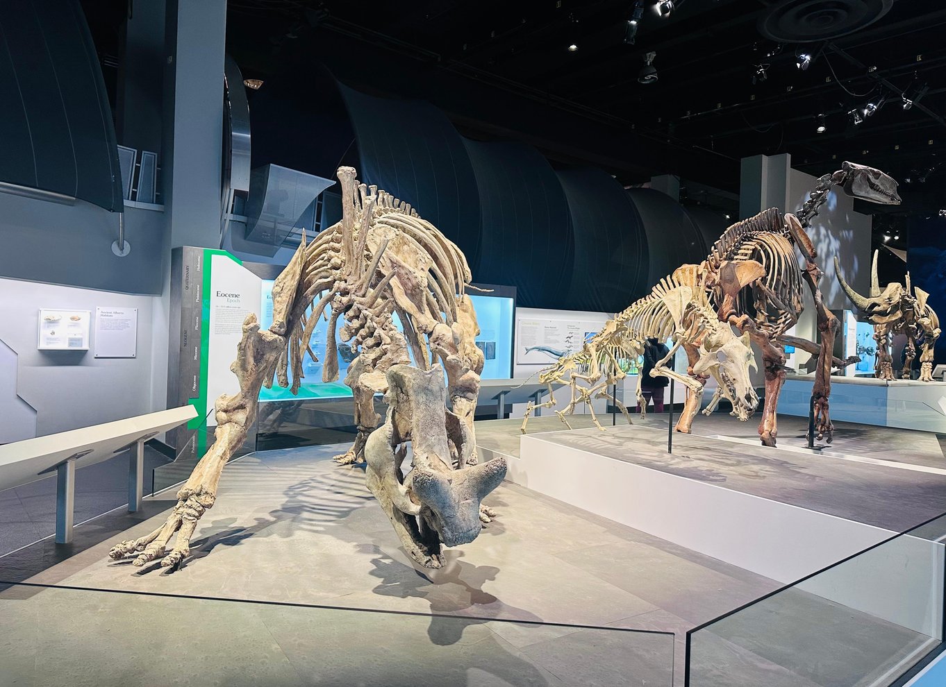 Badlands-tur: Drumheller med museum, hoodoos og dinosaurer