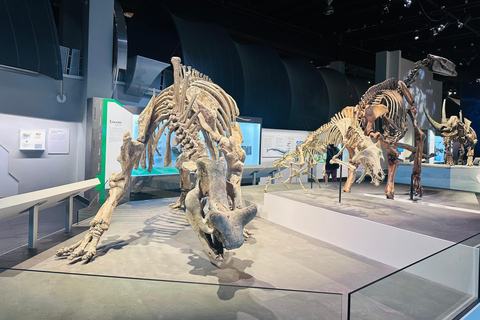 Badlands Tour: Drumheller with Museum, Hoodoos & Dinosaurs Booking Option for Summer 2026