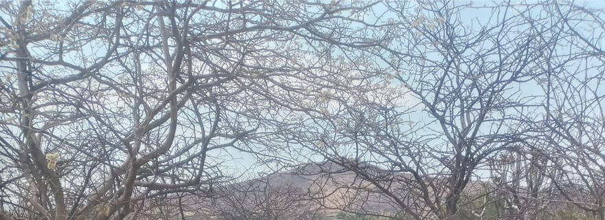 Windhoek : randonnée en montagne avec prise en charge et déjeuner