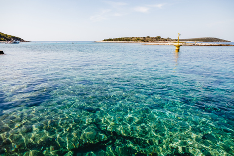 Split: Blaue Grotte und Hvar - Tagestour per SpeedbootSplit: Tagesausflug Blaue Höhle und Hvar mit dem Schnellboot