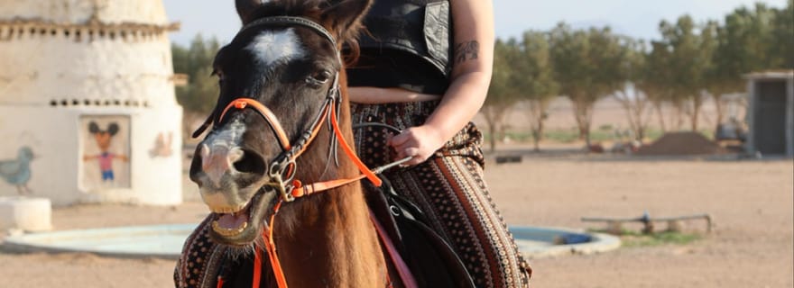 Hurghada : équitation et safari aventure