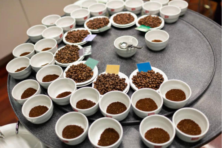 San José: Hacienda La Chimba Coffee Experience Tour