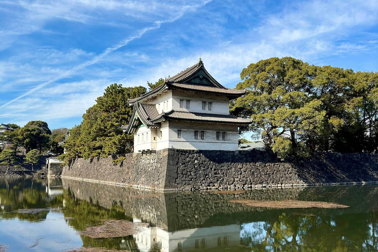 Tokyo: Private City Day Tour with English speaking Driver