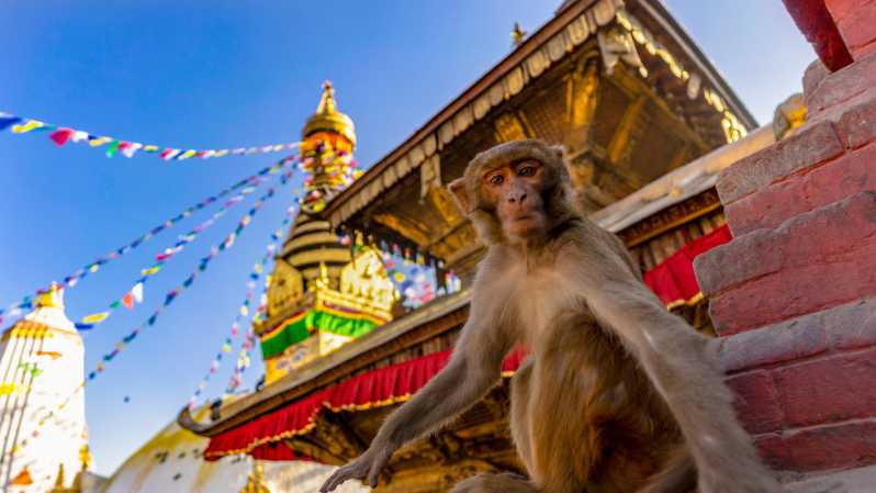 카트만두: 찬드라기리 케이블카 및 원숭이 사원 투어