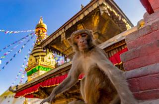 Kathmandu: Chandragiri Seilbahn und Affentempeltour