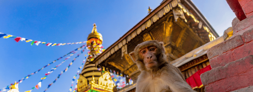 Katmandou : Téléphérique de Chandragiri et visite du temple des singes