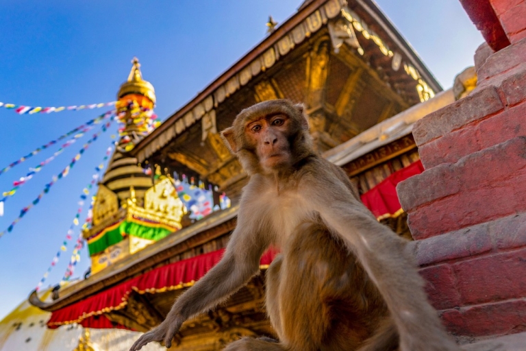 Kathmandu: Chandragiri Cable Car and Monkey Temple Tour Chandragiri Cable Car and Monkey Temple Tour in Kathmandu