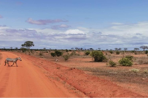 Red Elephants & Kilimanjaro Views: 3-day Tsavo East/Amboseli