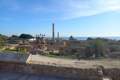 Excursion d&#039;une journée à Tunis Carthage Bardo depuis Hammamet