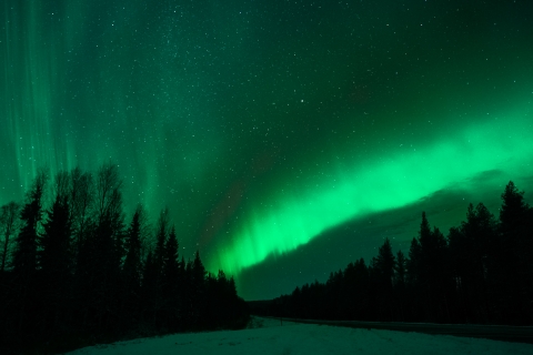 Rovaniemi: wycieczka do zorzy polarnej z gwarantowanymi obserwacjami