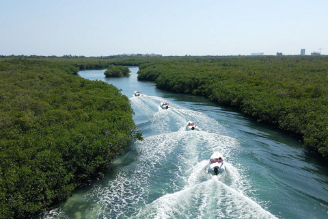 From Cancun: Speedboat & Snorkel Adventure