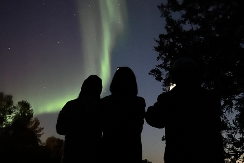 Tromsø: recorrido en busca de la aurora boreal con aperitivos y bebidas