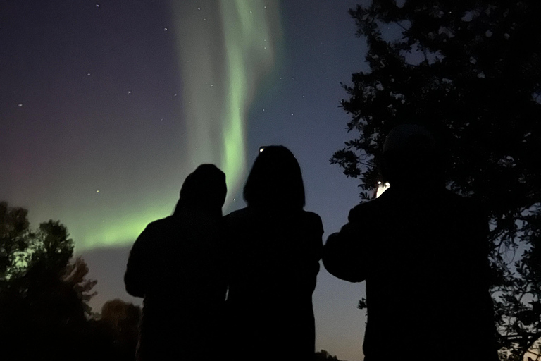 Tromsö: Northern Lights Chase Tour med snacks och dryck