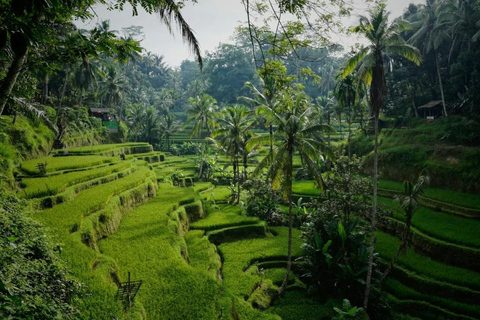 Ubud Full-Day Private Guided Tour: Temple, Waterfall & Swing Ubud Private Tour – Entry Tickets Not Included