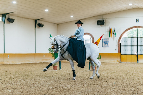 Malaga: Horse Show with Dinner, Drinks & Live Flamenco Show Only horse show with a bit of flamenco dancing