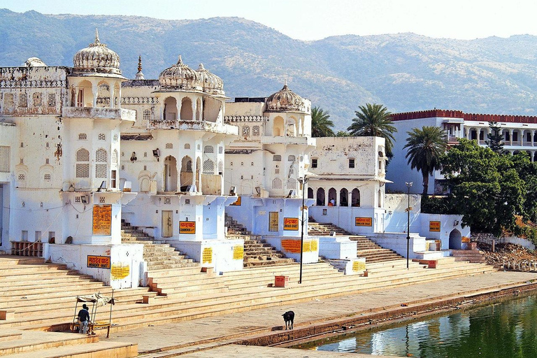 From Jaipur: Ajmer and Pushkar Private Tour From Jaipur: Ajmer and Pushkar Private Guided Tour