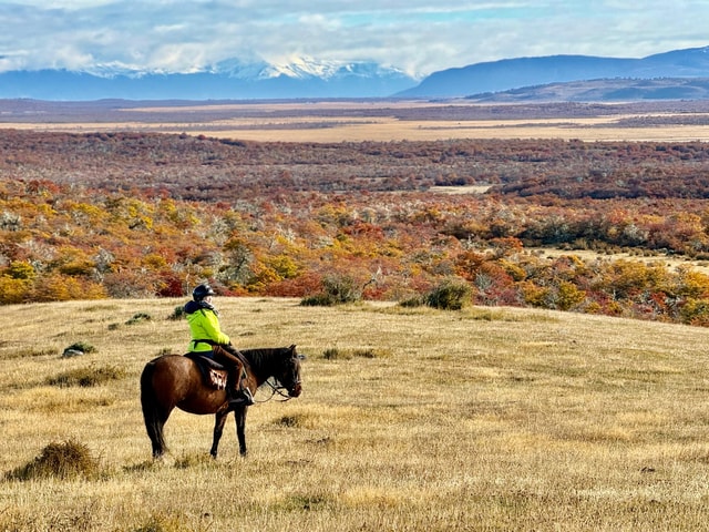 Puerto Natales: Full Day Horse Riding to Argentinian limit