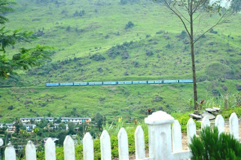 Colombo to Aberdeen Falls Train Tour with private vehicle