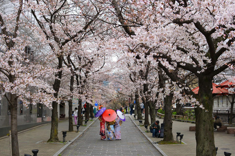Kyoto: Private Guided Tour With Vehicle and Optional Add-Ons