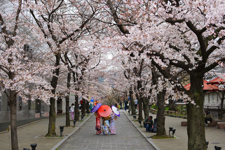 Kyoto: Private Guided Tour With Vehicle and Optional Add-Ons