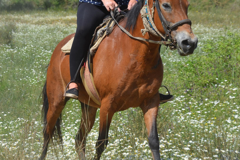 Pamucak: Horseback Riding Tour with Beach Swim